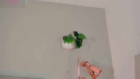 INSTAGRAM  m2221     online show from 02/09/26, 10:52