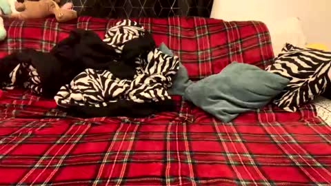 unable nkd life online show from 12/15/24, 05:31