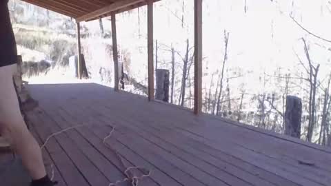 Naked Cabin Man online show from 11/14/25, 05:33