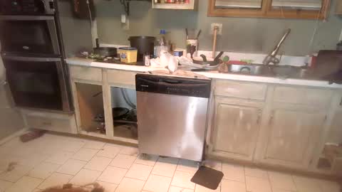 nakednate1780 online show from 12/06/24, 01:29