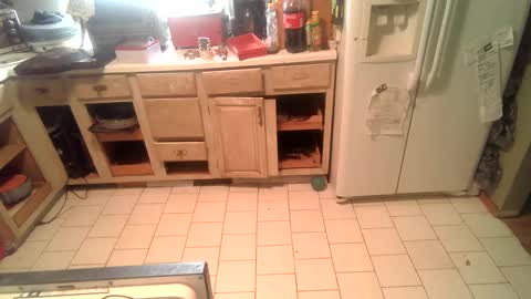 nakednate1780 online show from 12/25/24, 02:23