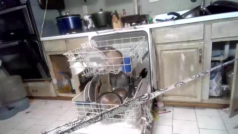 nakednate1780 online show from 03/03/25, 07:32