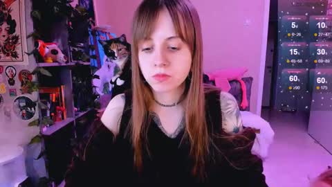 Snapshot of nanitamoore chatting on 02/24/25, 11:52 Monday-Friday 12-4 AM and 6-9 AM New York time online show from 02/24/25, 11:52