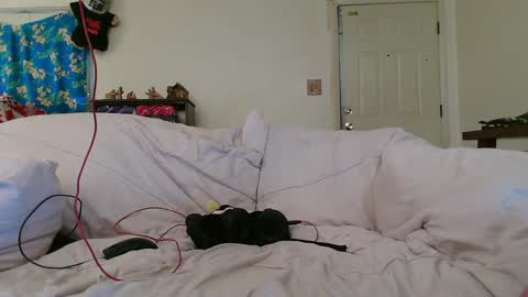 Snapshot of nannabaldur chatting on 12/17/24, 08:32 Nanna Baldur online show from 12/17/24, 08:32