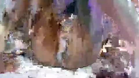 nasty toy online show from 01/09/25, 06:17