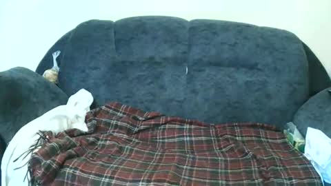 nastylily1 online show from 01/17/26, 07:02