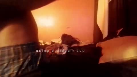 nathanbutler0 online show from 10/31/25, 05:52