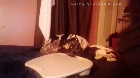 nathanbutler0 online show from 11/01/25, 02:52