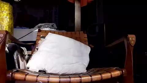 Haven online show from 04/20/26, 09:23