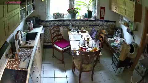 Nature online show from 04/16/26, 10:27