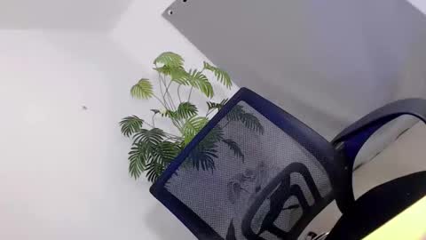 Call me Carol online show from 04/10/26, 05:34