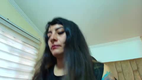 Kitten online show from 03/02/26, 11:39