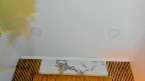 Kitten online show from 05/08/26, 11:04