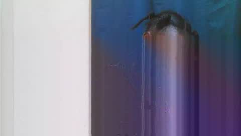 jn online show from 03/28/26, 06:29