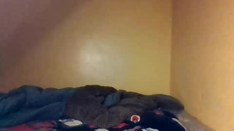 Bree doll online show from 04/26/26, 08:39