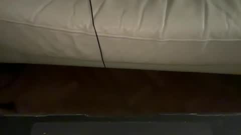 Snapshot of navigatingtothesky chatting on 11/18/25, 11:48 navigatingtothesky online show from 11/18/25, 11:48