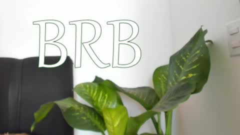 Nayah Williams  - OnlyFans  online show from 12/07/24, 04:36