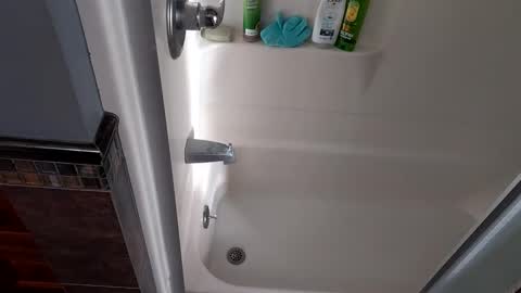 needsub online show from 11/27/25, 09:50