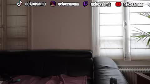 nekoxwaifu online show from 05/06/26, 08:41