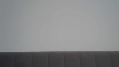 nelly_fortu online show from 02/03/26, 11:04