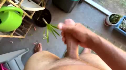 nellyd332169 online show from 01/07/26, 07:16