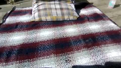 neosohorny online show from 04/26/26, 07:22