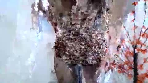 Crystal New online show from 01/15/26, 07:46