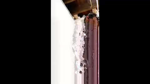 nermigarciaaguilar314 online show from 05/31/26, 03:36
