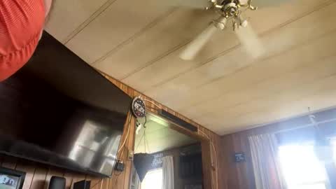 neversaynevrrr online show from 11/01/25, 05:37