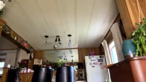 neversaynevrrr online show from 04/18/26, 07:51