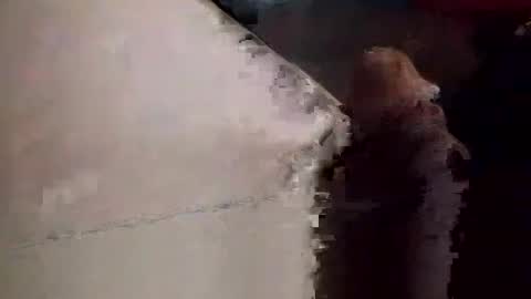 Matt online show from 11/23/25, 09:03