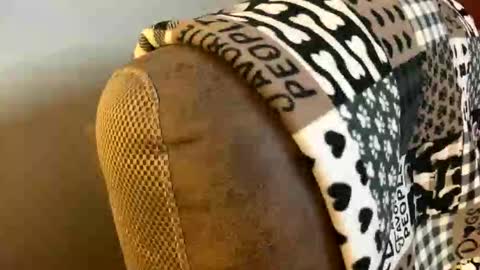 neverwinter44 online show from 03/09/26, 06:06