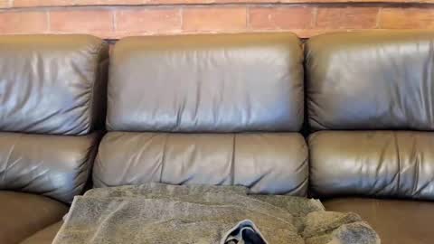 Matilda online show from 12/04/25, 11:52