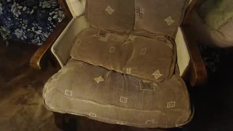 Lilly  online show from 02/02/25, 07:14