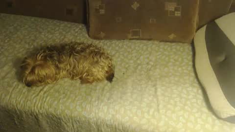 Lilly  online show from 10/22/25, 02:45