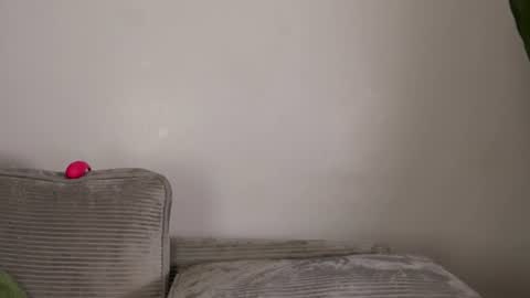 Snapshot of nia_bell chatting on 08/02/26, 04:33 kikiNiaAria online show from 08/02/26, 04:33