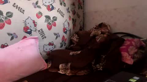 nicharee online show from 06/17/26, 06:38