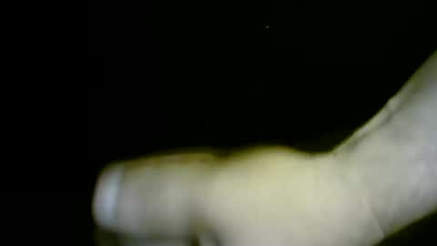 nicholaastavrou19 online show from 04/01/26, 12:00