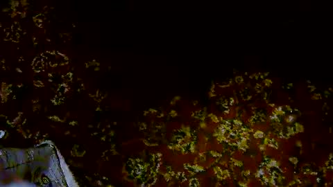 nicholaastavrou19 online show from 04/11/26, 07:45