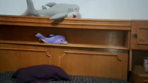 Nicholle online show from 07/01/26, 08:52