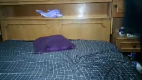 Nicholle online show from 07/18/26, 10:57