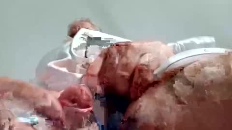 TheCock online show from 12/28/24, 08:58