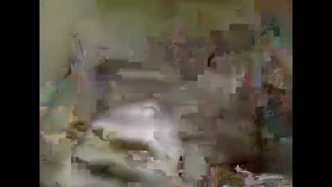 Nick online show from 01/05/25, 02:08