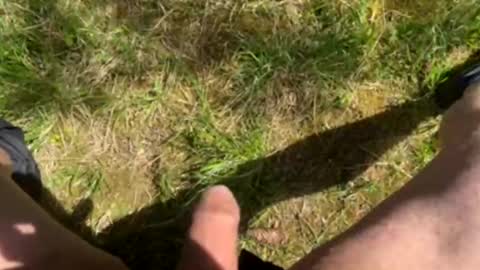 nicle12 online show from 05/02/26, 10:09