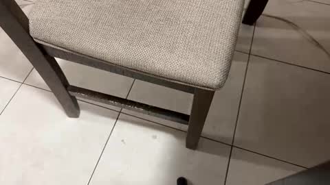 Carlos Nico online show from 03/05/26, 09:38