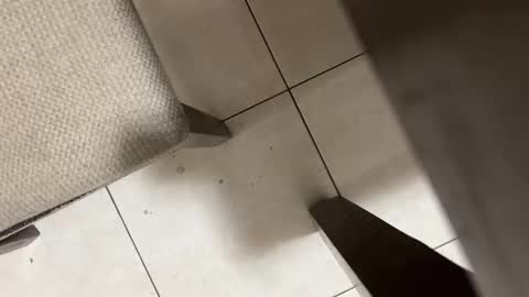 Carlos Nico online show from 03/02/26, 09:05