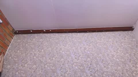 Nicol online show from 01/11/25, 07:16