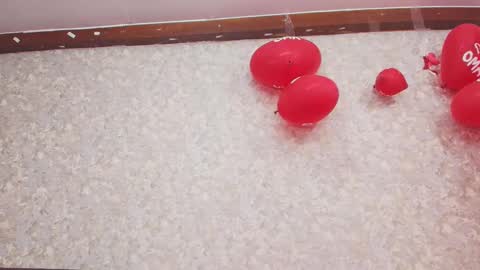 Nicol online show from 02/13/25, 07:42