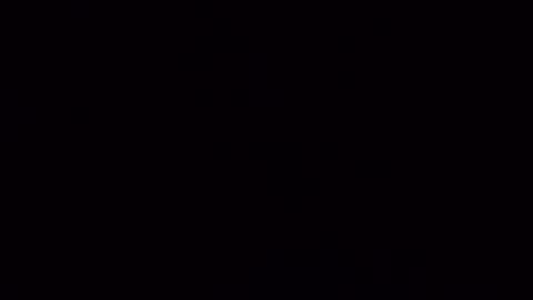 nicoleandbrian online show from 12/17/24, 09:17