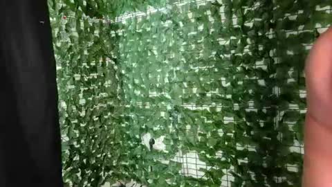 nicoleirisxxx online show from 07/01/26, 05:09